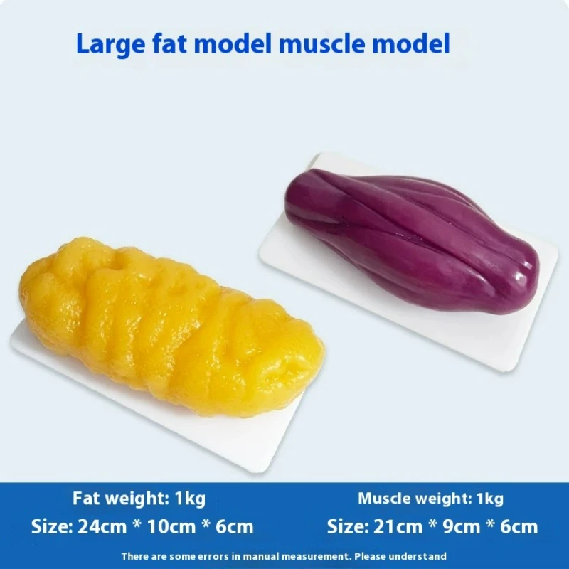 نماذج مقلدة للعضلات والدهون ال - مراجعة Fitness With Nutrition وسعره