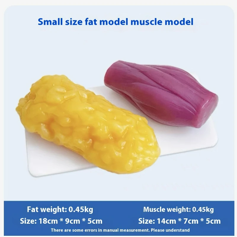 نماذج مقلدة للعضلات والدهون ال - مراجعة Fitness With Nutrition وسعره